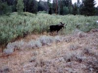 photos 2000-200900332